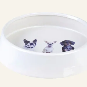 Kampanjpris Hundskål vit - 15,3x15,3x6,5 cm