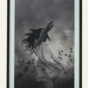 Rabatter Tavla svart - 70x100 cm