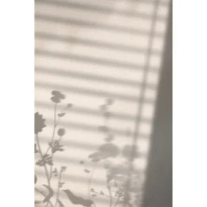 Erbjudandepris Venture Home Poster Flower Shadow 50x70 cm Vit - Inredning