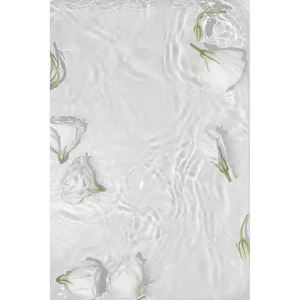 Venture Home Poster White Roses 50x70 cm Vit - Inredning Utförsäljning