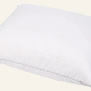 Snabb frakt Nackkudde vit - 50x60 cm