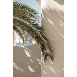 Extra rabatt Venture Home Poster Palmleaf 21x30 cm Beige - Inredning