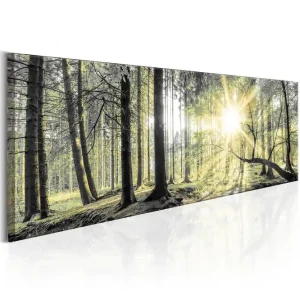 Snabb frakt Tavla Morning Forest VALUE_MISSING_2 120x40 - Inredning