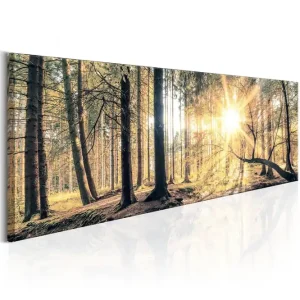 Säker betalning Tavla Autumn Retreat VALUE_MISSING_2 120x40 - Inredning