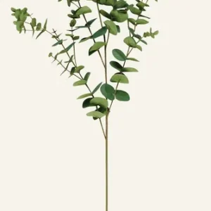 Bästa pris Kvist grön - 52x145 cm