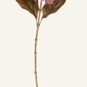Konstgjord blomma burgundy - 28x17x65 cm Köp nu