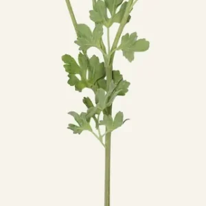 Konstgjord blomma vit - 18x14x63,5 cm Lågt pris
