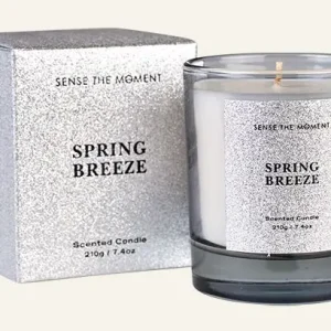 Fynd Doftljus silver - 210 g