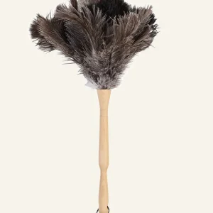 Erbjudande Dammvippa svart - 50 cm