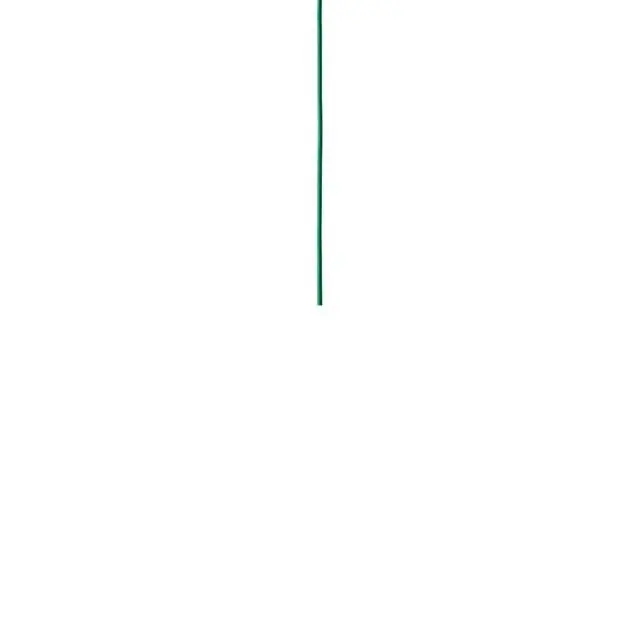 Trygg betalning Textilkabel 600 Cm Signal Green