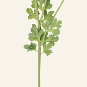 Konstgjord blomma grön - 18x14x63,5 cm Rabatter