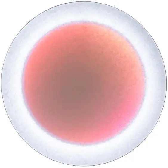 MoodMoon Vägg-/Taklampa 60 cm, Röd Lägg i varukorgen