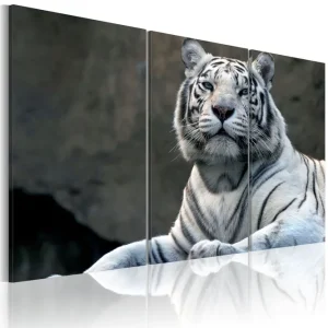 Tavla White Tiger 60x40 - Inredning & dekor risnedsättning