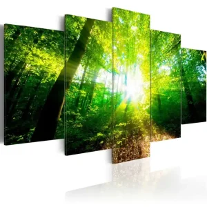 Tavla Wonderful Morning 200x100 - Inredning & dekor Kundfavorit