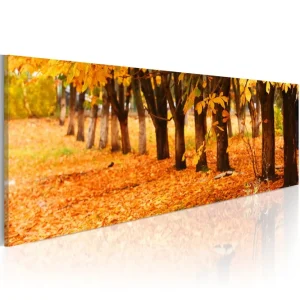 Tavla Park Covered With Golden Leaves 120x40 - Inredning & dekor Kampanjpris