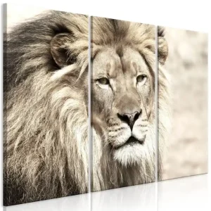 Tavla The King Of Beasts 3 Parts Beige 120x80 - Inredning & dekor Bästa pris