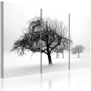 Tavla Trees Submerged In White 60x40 - Inredning & dekor Begränsat erbjudande