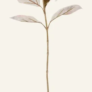 Konstgjord blomma offwhite - 23x17x38 cm Begränsat erbjudande