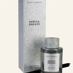 Doftpinnar silver - 120 ml Beställ idag