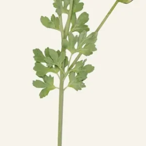 Köp online Konstgjord blomma ljuskorall - 18x14x63,5 cm