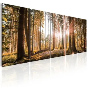Tavla Beauty Of Nature 225x90 - Inredning & dekor Expressleverans