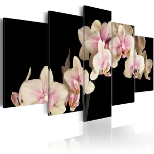 Tavla An Orchid On A Contrasting Background 100x50 - Inredning & dekor Köp nu