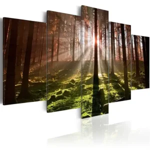 Tavla Autumn Silence 100x50 - Inredning & dekor Köp nu