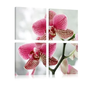 Tavla Fancy Orkidé 40x40 - Inredning & dekor Kundfavorit
