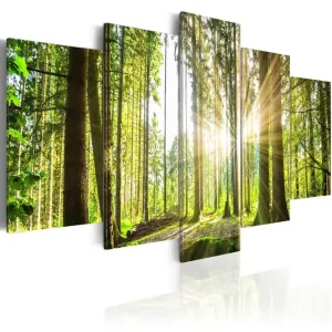 Snabb leverans Tavla Forest Kingdom 100X50 Grön|Vit - Inredning & dekor