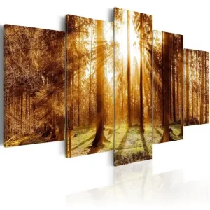 Trygg betalning Tavla Forest Illumination 200x100 - Inredning & dekor