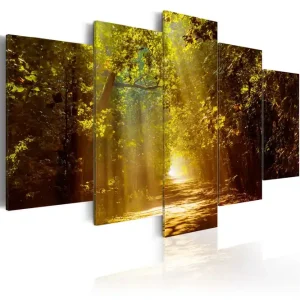 Tavla Forest In The Sunlight 100X50 Gul - Inredning & dekor Begränsat erbjudande