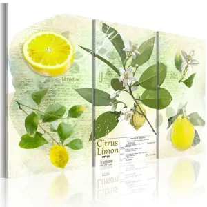 Billigare Tavla Fruit Lemon 120x80 - Inredning & dekor