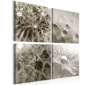 Tavla Grey Dandelion 40x40 - Inredning & dekor Lägg i varukorgen