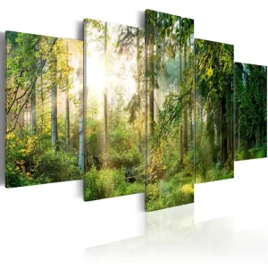 Tavla Green Sanctuary 100X50 Vit - Inredning & dekor Rabatter