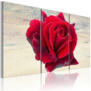 Begränsad tid Tavla Lyrical Rose 60x40 - Inredning & dekor