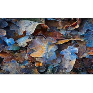 Canvastavla YTY Abstract & Fractals Flerfärgad 120x50 cm - Inredning Reapris