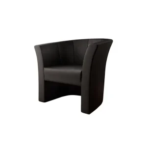 Majestic Furniture Dynir Clubfåtölj Svart - Möbler Kampanj